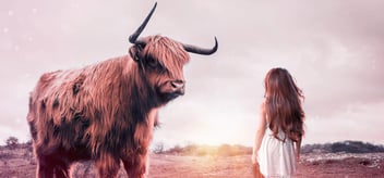 Perinteinen_yritystieto_vs_teknografia