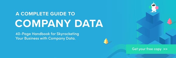 A complete Guide to Company Data