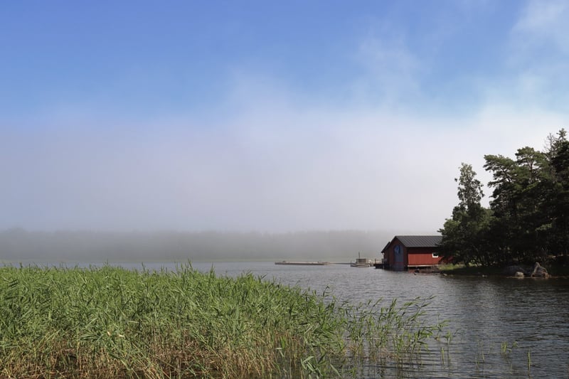 Red boathouse across still water behind tall grass, morning fog