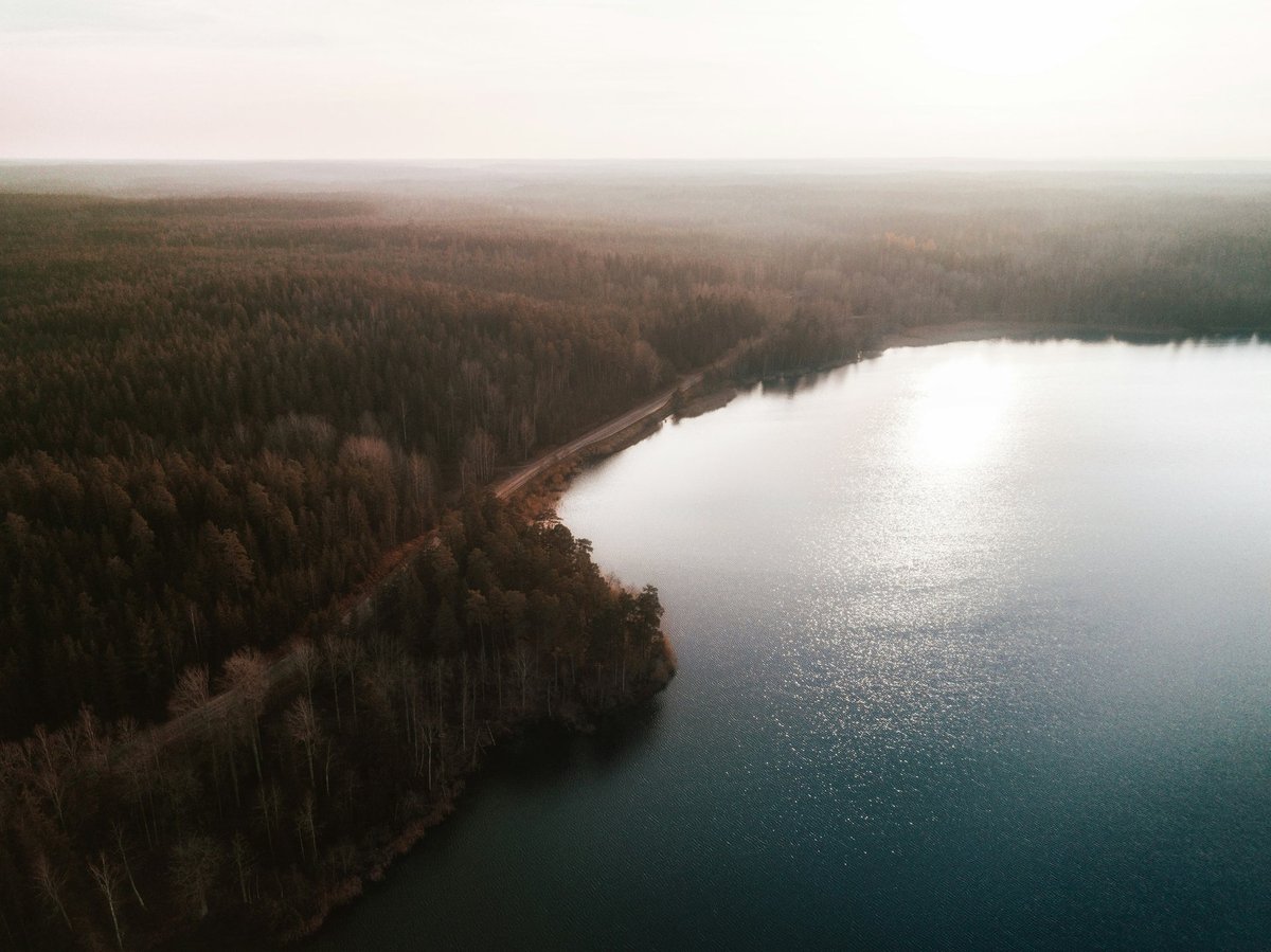 A forest lake seen from above