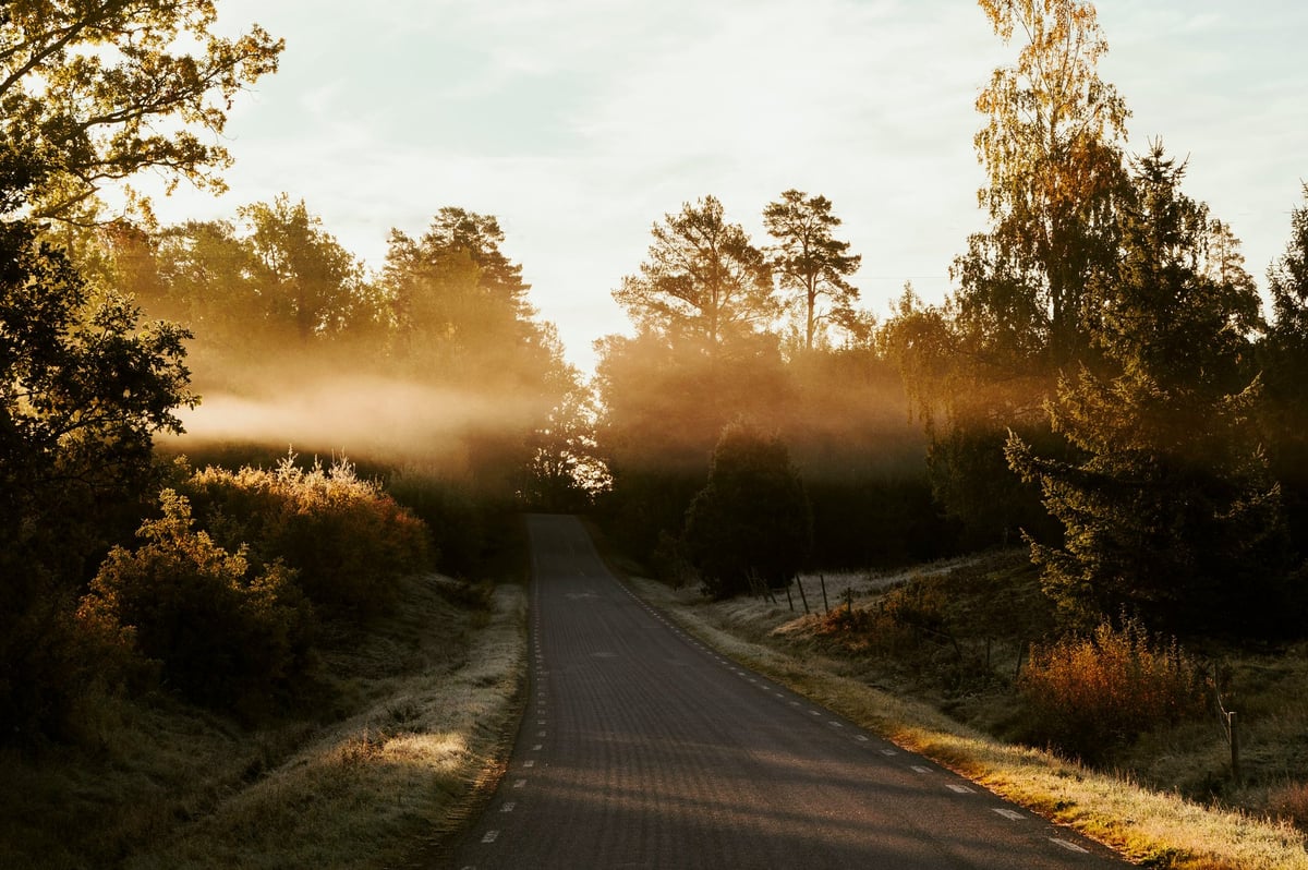 Landsväg som leder in i gyllene morgondis genom höstlöv