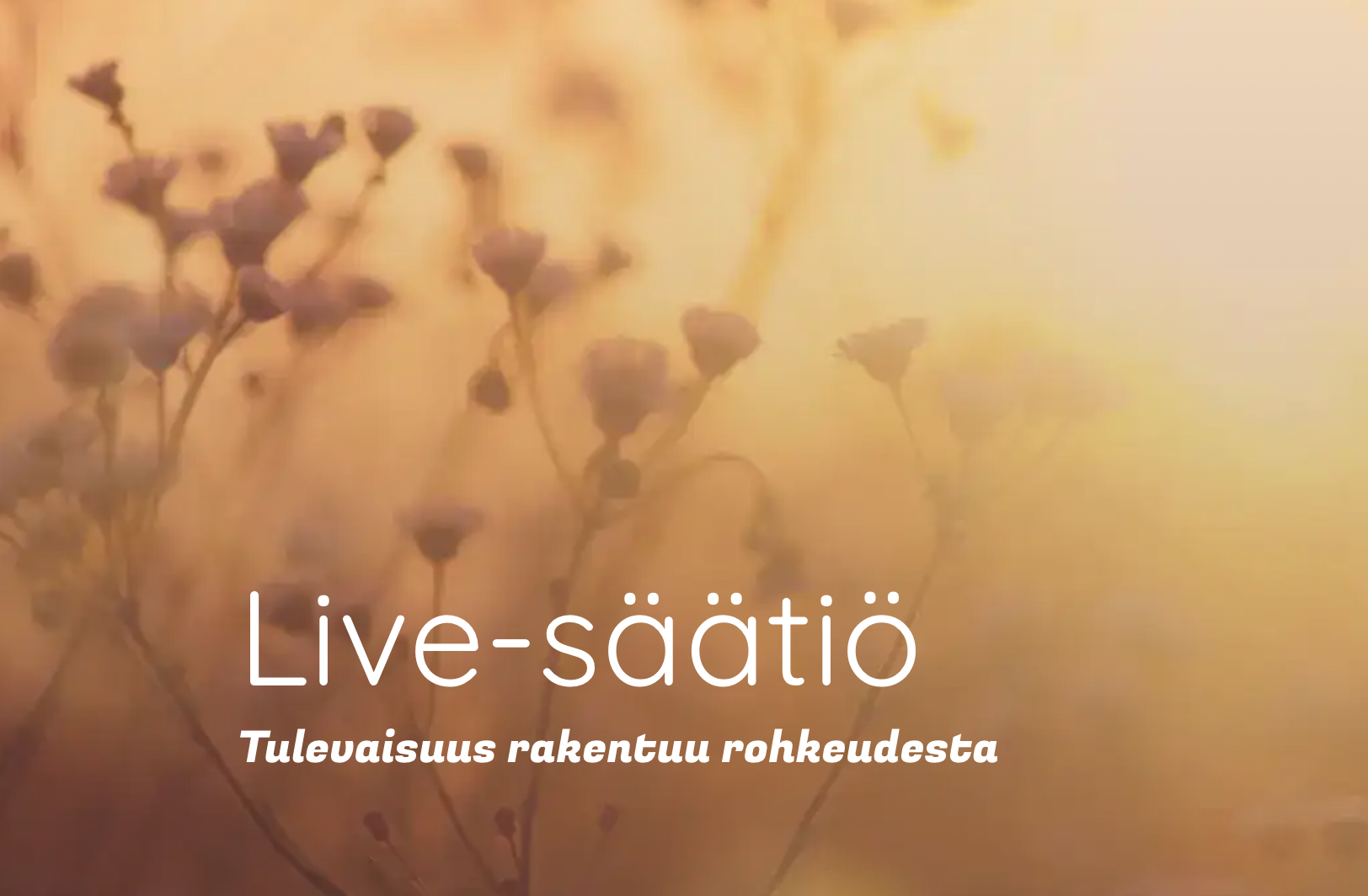 Näyttökuva 2026-03-30 kello 13.40.28