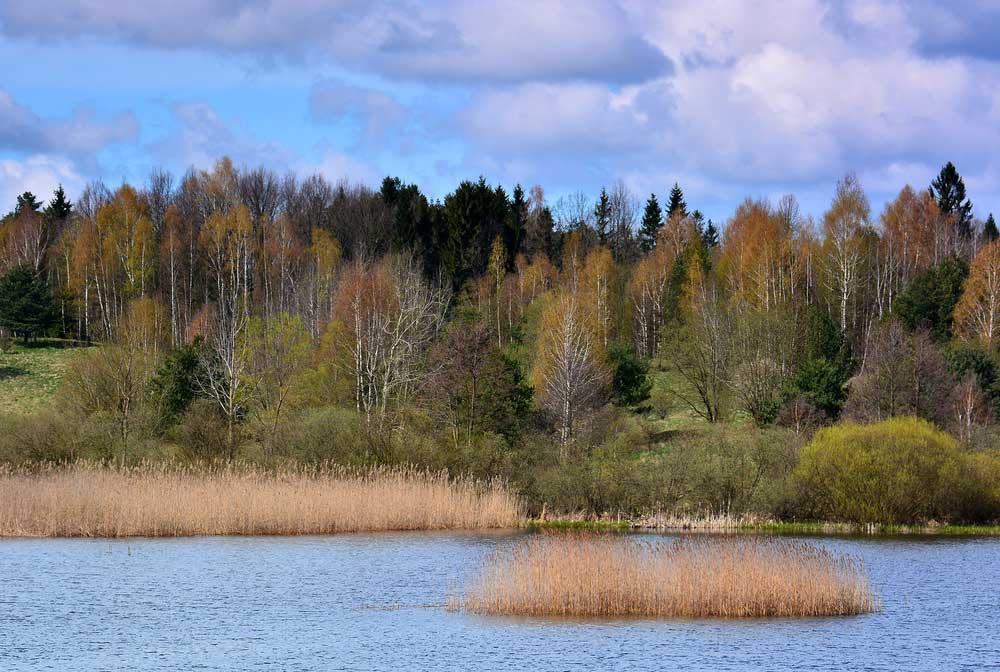 4 tapaa tuplata SaaS-bisneksesi arvo